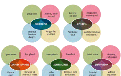 Five-Factor Model or ‘Big Five’ of Personality Dimensions