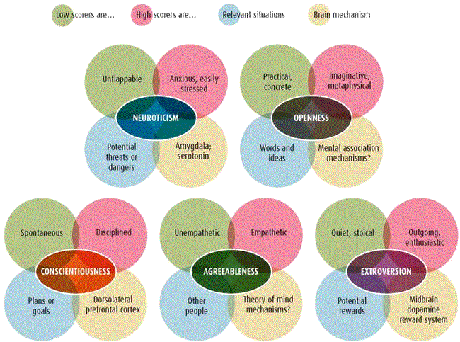 Five Factor Model Or Big Five Of Personality Management Study Hq Five Factor Model Or Big Five Of Personality Management Study Hq