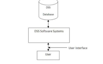 Components of Decision Support Systems (DSS)