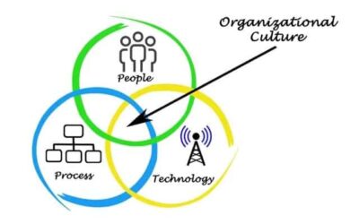 Edgar Schein’s Model of Organizational Culture