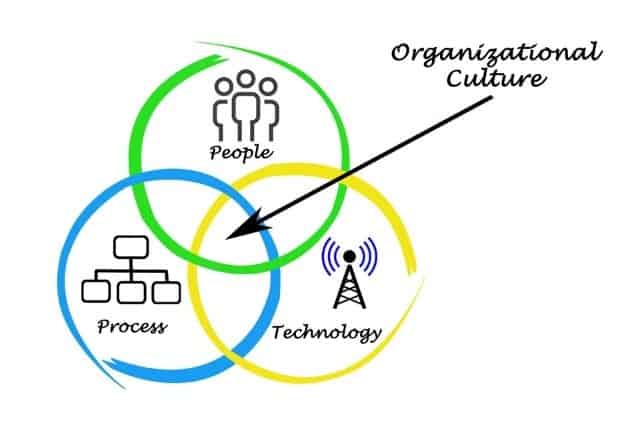 schein model organizational culture