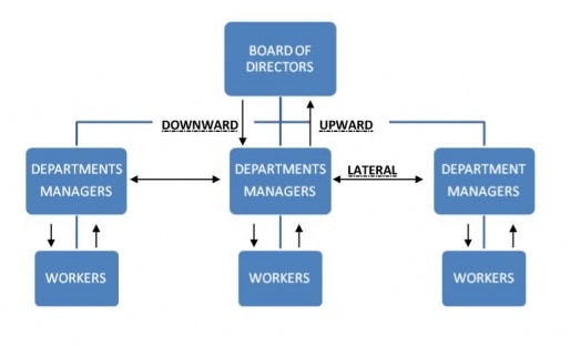 Lateral Organizational Chart