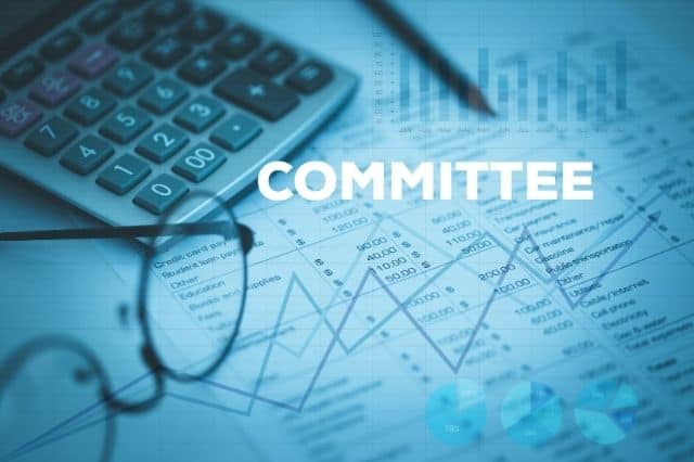 Advantages and Disadvantages of Committees