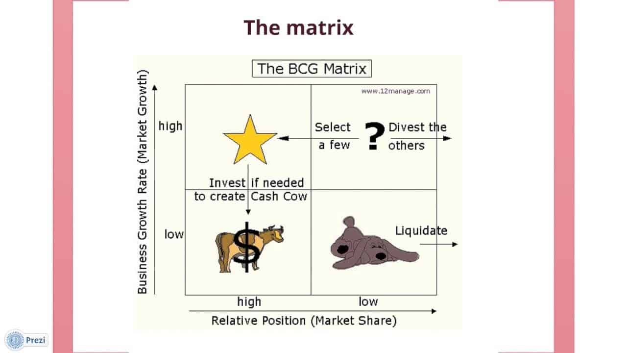 kellogg brand bcg growth share matrix