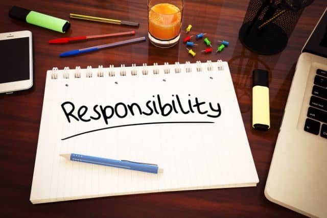 components of responsibility assignment