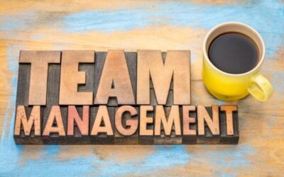 Team Management – Meaning and Concept And Effective Team Management Skills