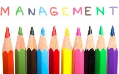 What is The Best Management Style?