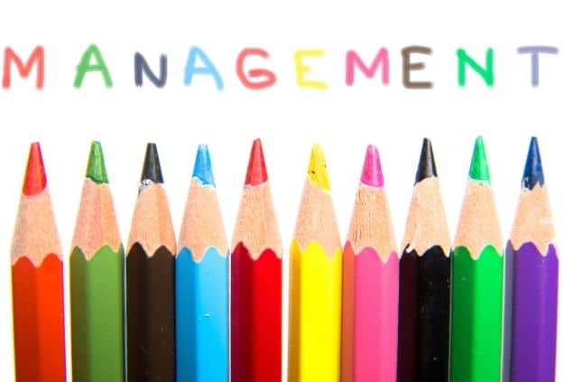 The Top Management Style