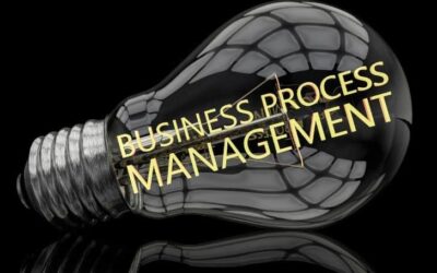 Process Manager Job Description
