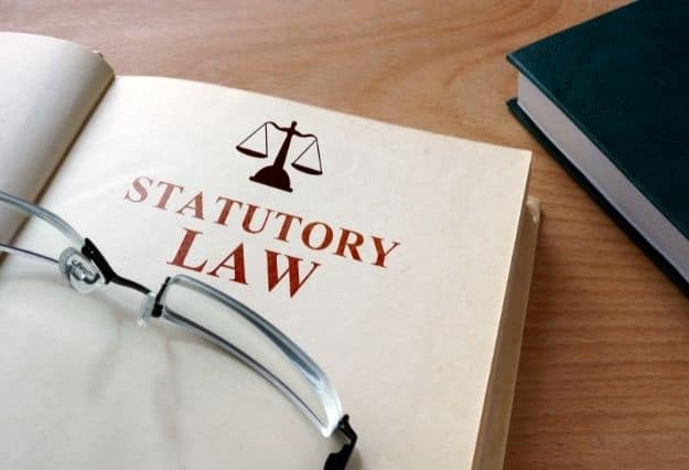 statutory company definition