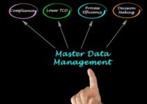 Best Master Data Management Strategies
